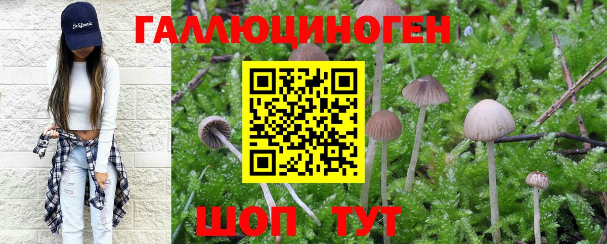 Галлюциногенные грибы Cubensis Бузулук