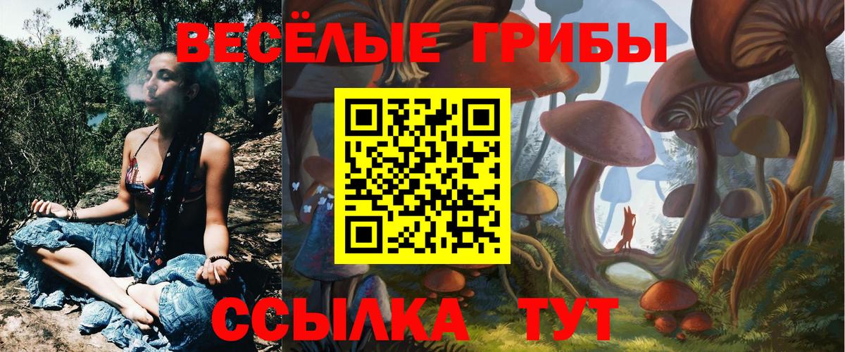 Бузулук  Галлюциногенные грибы MAGIC MUSHROOMS  Вход с VPN  Галлюциногенные грибы Magic Shrooms 